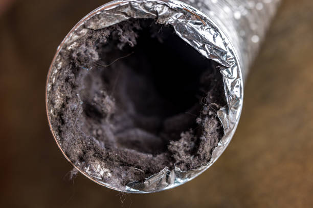 Best HVAC Maintenance and Cleaning  in Pine Crest, TN