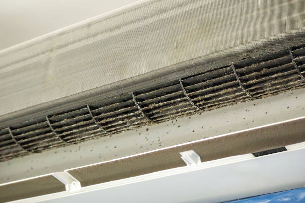 Best Residential Air Duct Cleaning  in Pine Crest, TN