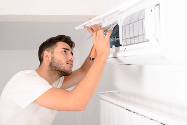 Best Air Duct Sanitizing Services  in Pine Crest, TN